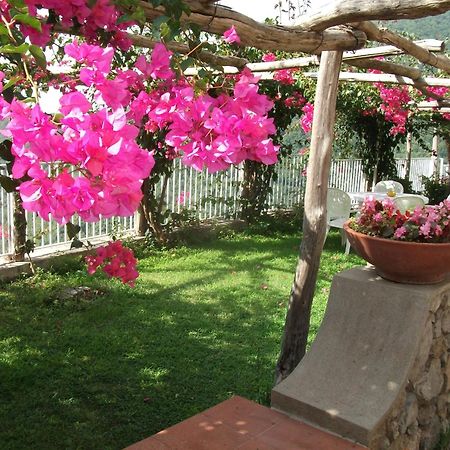 Bouganville Home Vietri Bagian luar foto