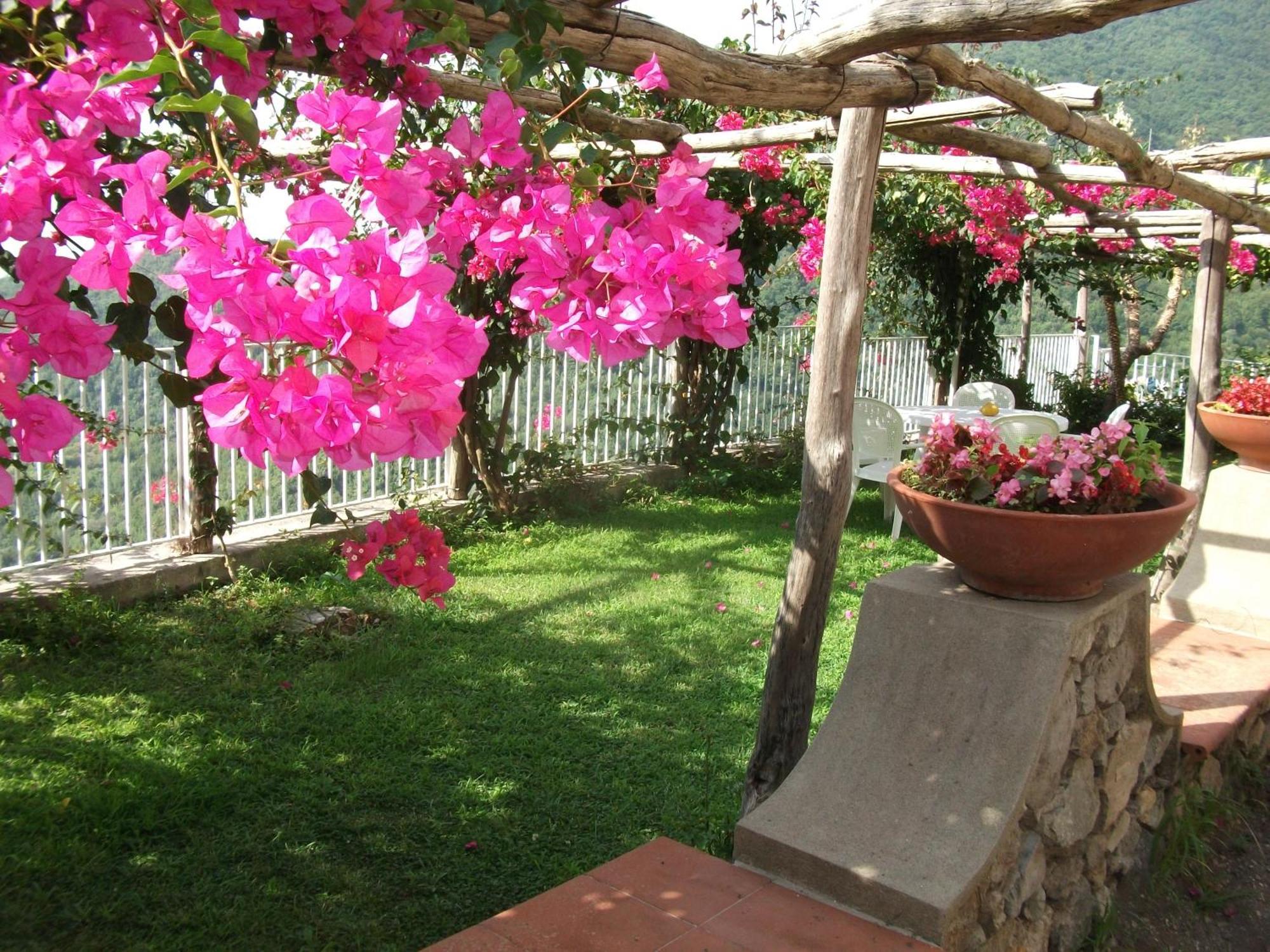Bouganville Home Vietri Bagian luar foto